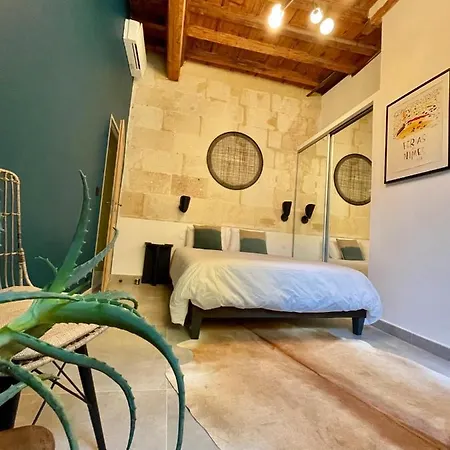 Appartement Grand Confort Au Cœur De *