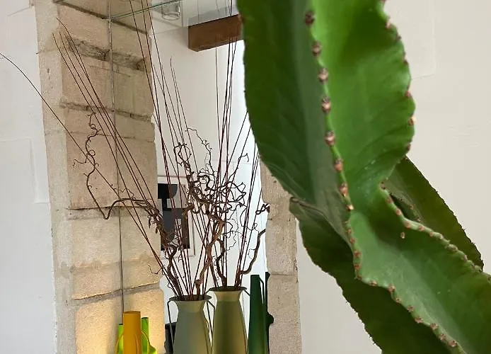 Grand Confort Au Coeur De * Nimes